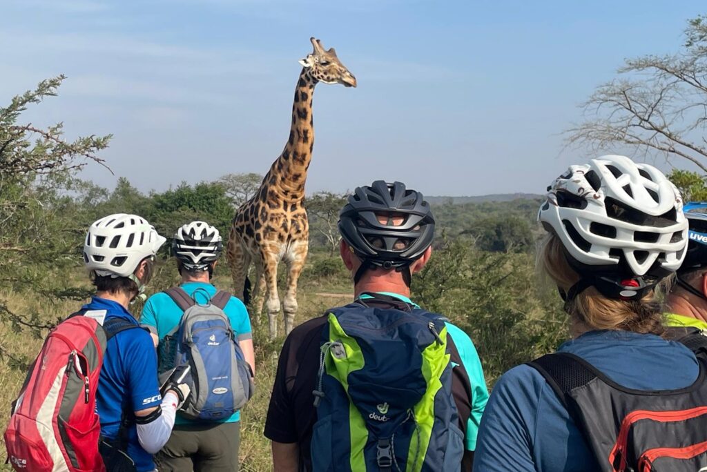 Hautnahe Tierbegegnungen auf der Multi-Aktiv-Safari im Mburo Nationalpark