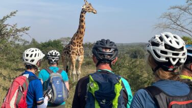 Hautnahe Tierbegegnungen auf der Multi-Aktiv-Safari im Mburo Nationalpark