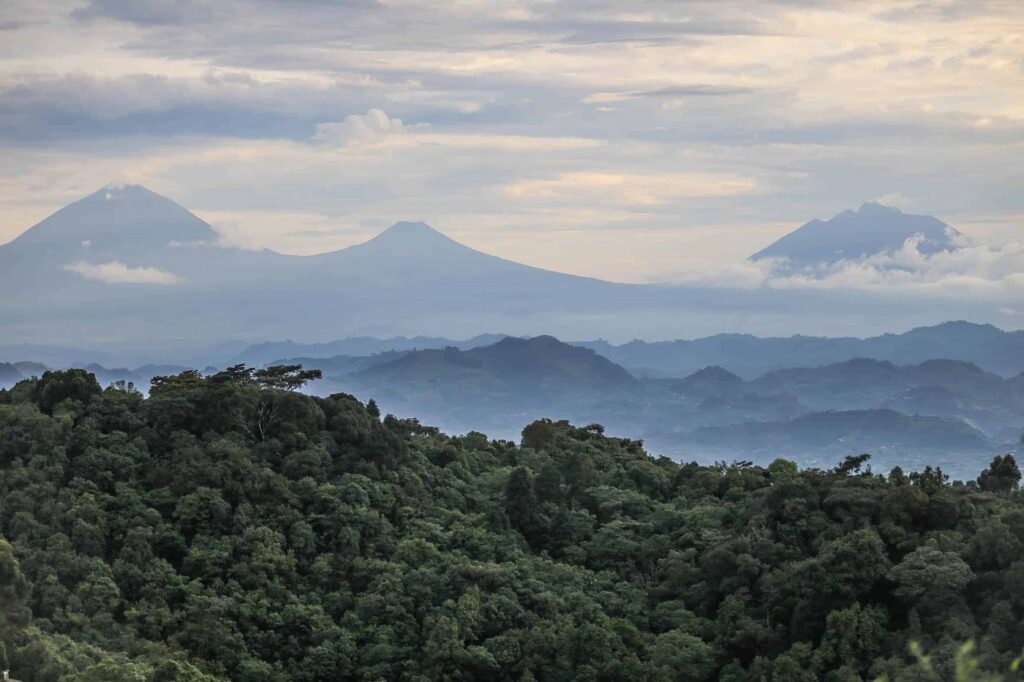 Bwindi Impenetrable Nationalpark