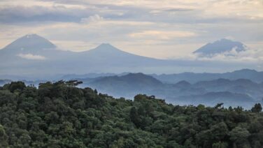 Bwindi Impenetrable Nationalpark