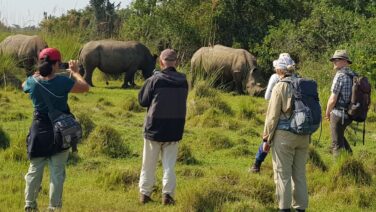 Nashörner im Ziwa Schutzgebiet in Uganda