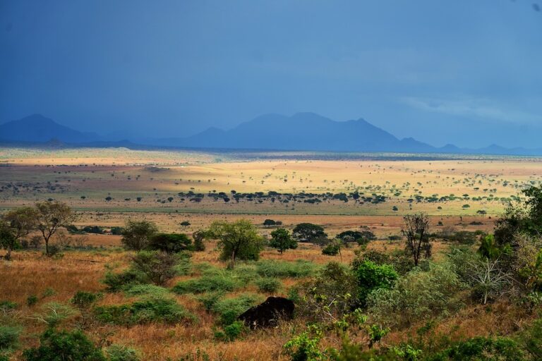 Der Kidepo Valley Nationalpark, im äußersten Nordosten Ugandas gelegen, gilt als einer der unberührtesten und landschaftlich reizvollsten Nationalparks Afrikas.