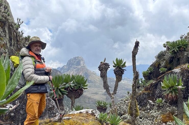 Das spektakuläre Stanley Bergmassiv des Rwenzori Mountains Nationalparks zieht Abenteurer und erfahrene Bergsteiger aus der ganzen Welt an.