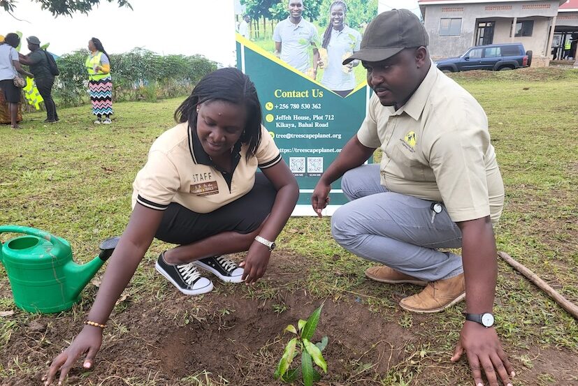Fördere Projekte für Nachhaltigkeit in Uganda