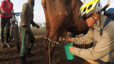 Auf dem eBike Mountainbike Trip kann man sich im Ankole Land mit frischer Milch versorgen!
