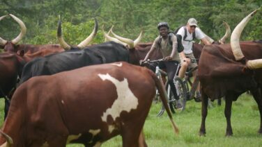 Der Mburo Nationalpark liegt im Ankole Land