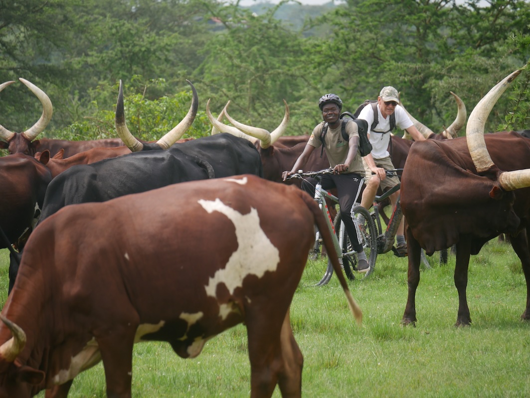 Der Mburo Nationalpark liegt im Ankole Land