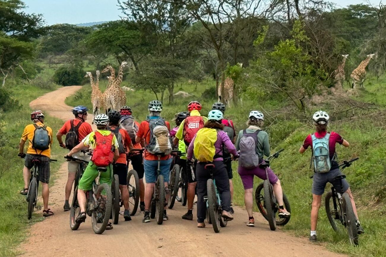 Erste Wildlife Begegnung im Mburo Nationalpark auf der eBike Mountainbike Safari