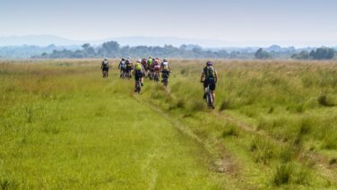 Entlang dem Viktoria See gibt es abenteuerliche Single Trails für eBike Mountainbiking