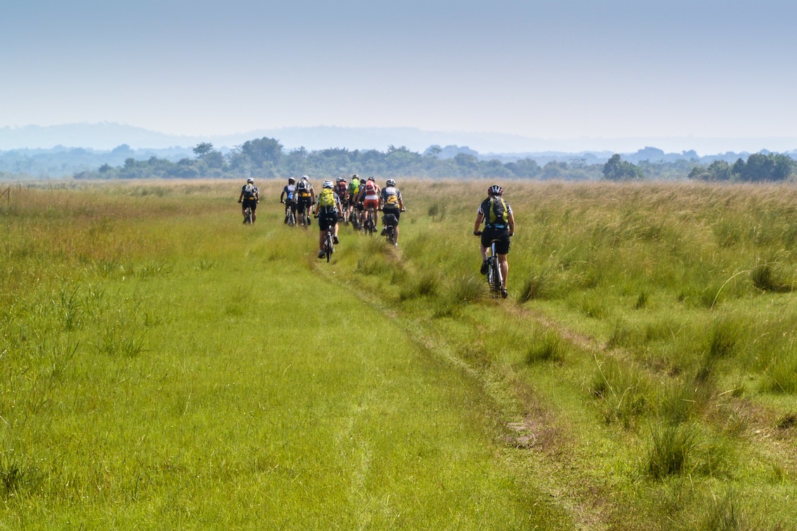 Entlang dem Viktoria See gibt es abenteuerliche Single Trails für eBike Mountainbiking