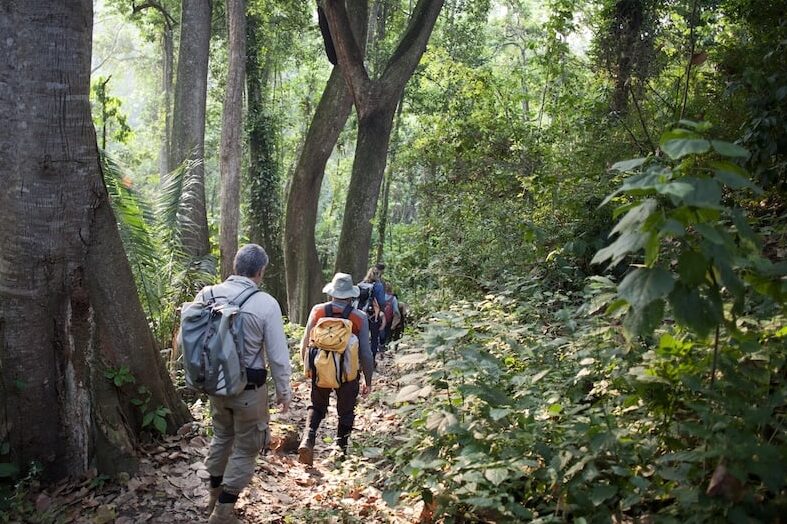 Der Nungwe Forest ist ein Paradies für Safari und Wandern