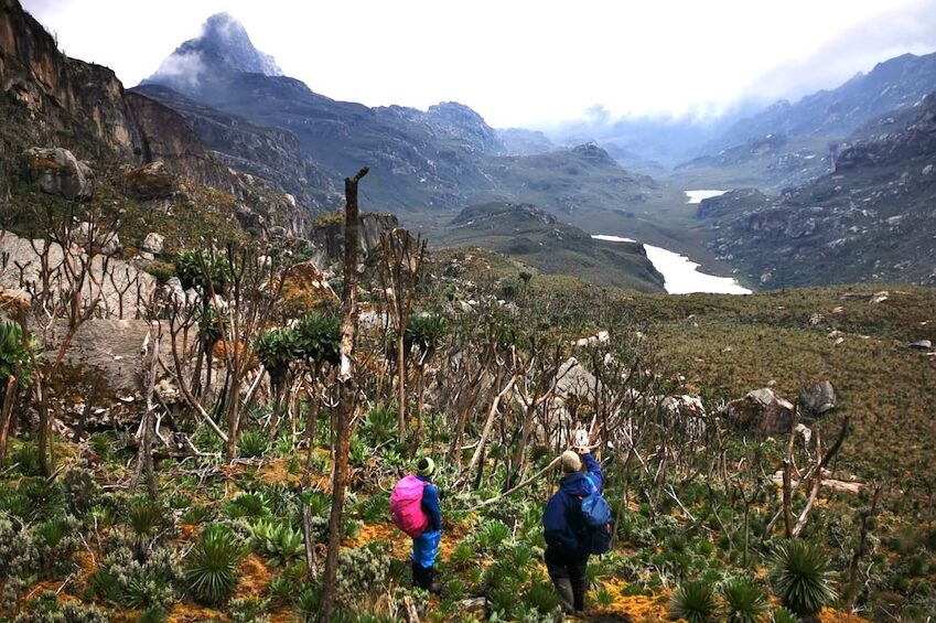 Rwenzori Safari und Trekking Kitandara Seen