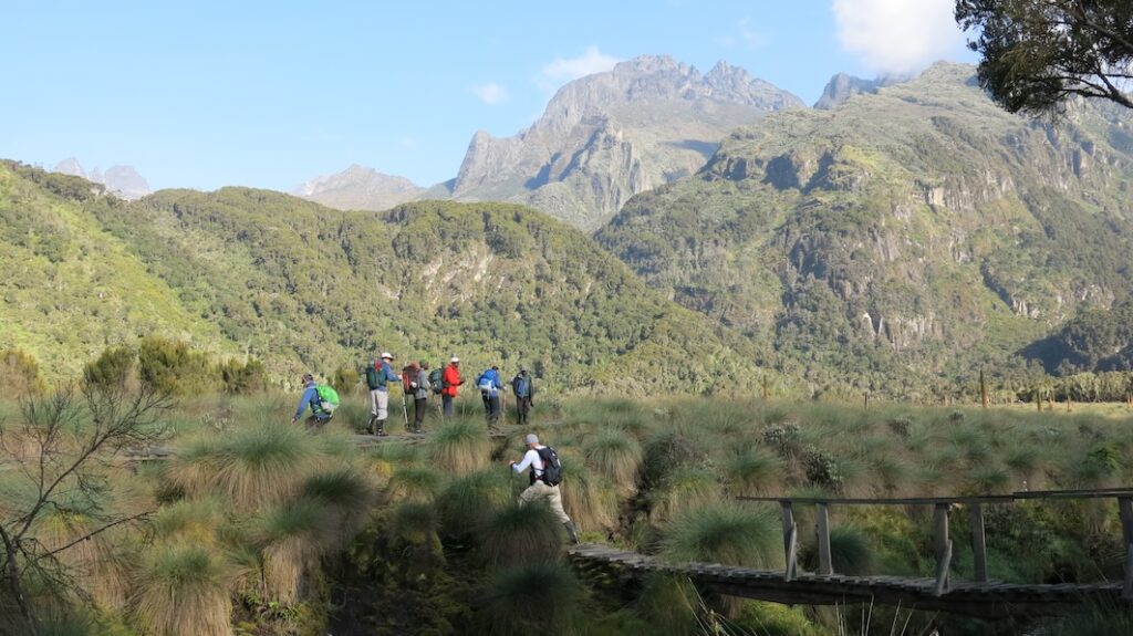 Rwenzori Safari und Trekking über den Mujuku Fluss