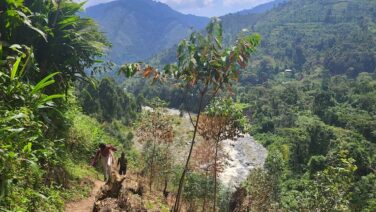 Safari und Wandern Ruboni Forest Walk