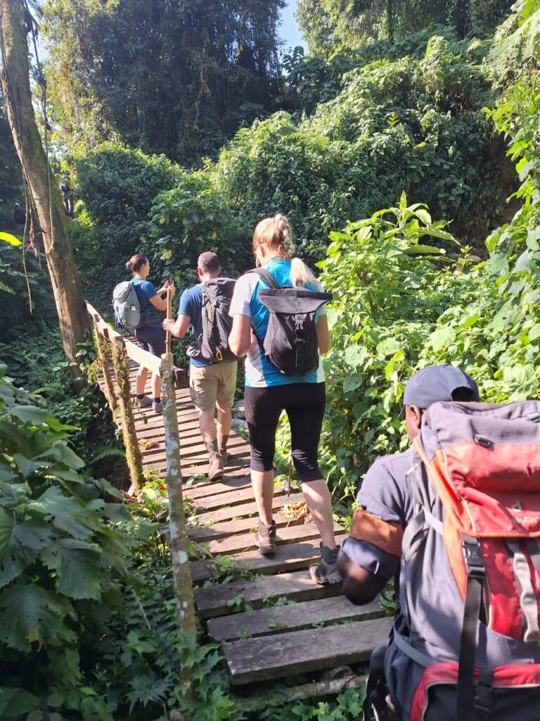 Safari und Wandern mit Schwerpunkt Rwenzori Trekking Tag 1