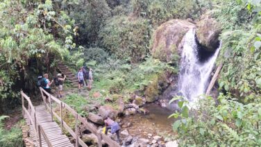 Safari und Wandern mit Schwerpunkt Rwenzori Trekking Tag 2