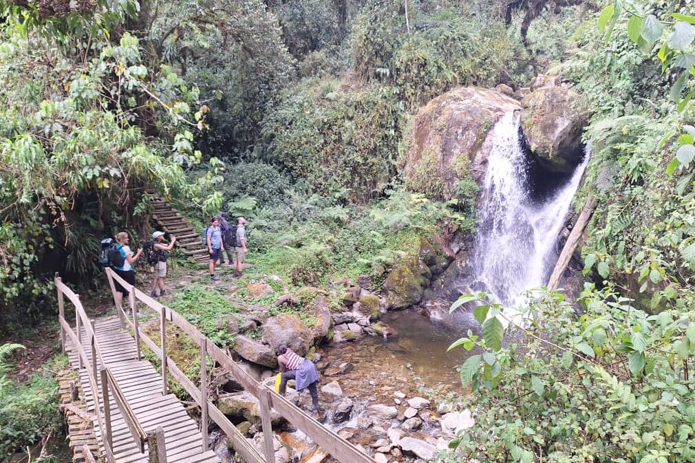 Safari und Wandern mit Schwerpunkt Rwenzori Trekking Tag 2