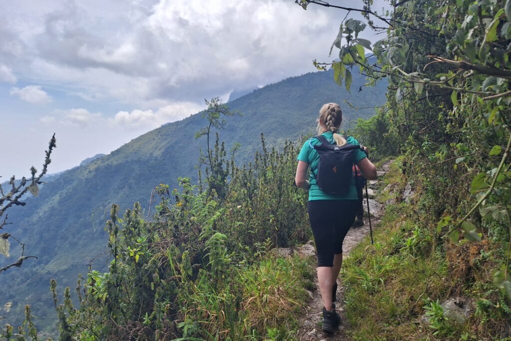 Safari und Wandern mit Schwerpunkt Rwenzori Trekking Tag 3