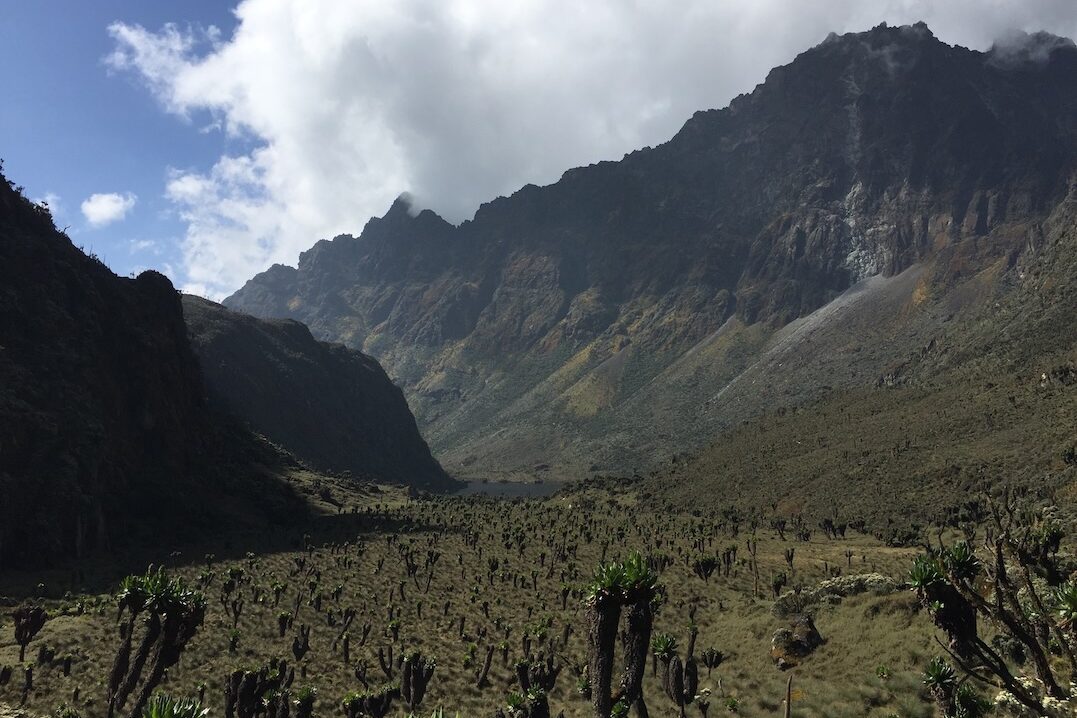 Safari Trekking 3500m Höhe