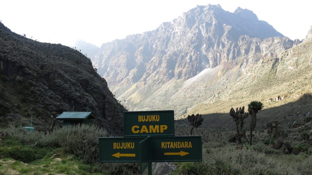 Safari Trekking Bujuku Camp