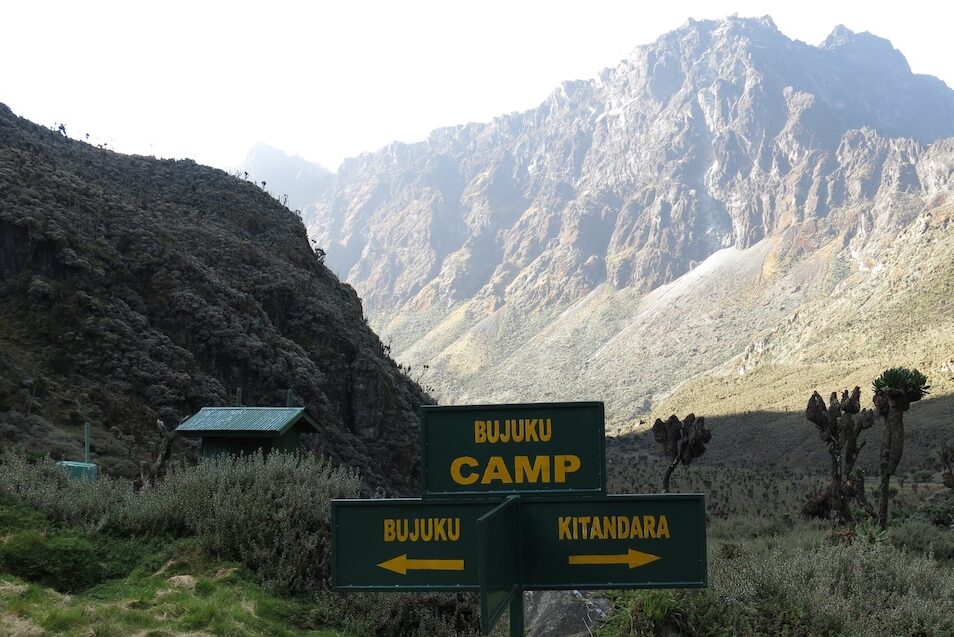 Safari Trekking Bujuku Camp