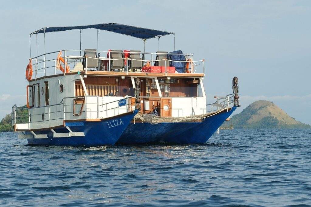 Gorilla Trekking Safari - mit Hausboot Ilizi 1 Nacht auf Kivu See