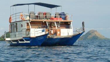 Gorilla Trekking Safari - mit Hausboot Ilizi 1 Nacht auf Kivu See