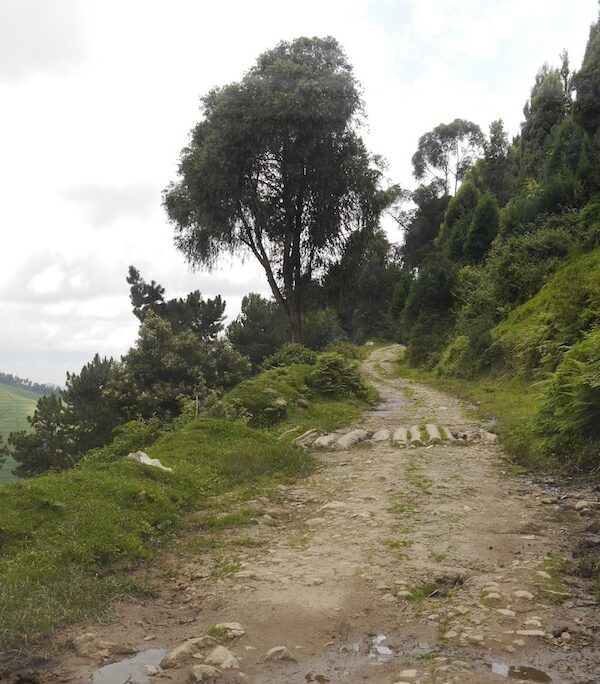 TYPISCHE BERGPISTE IN RUANDA