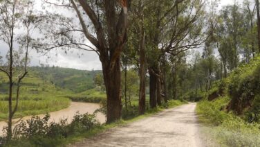 Entspannte Flussuferpiste auf der Ruanda eBike Tour zum Kivu See