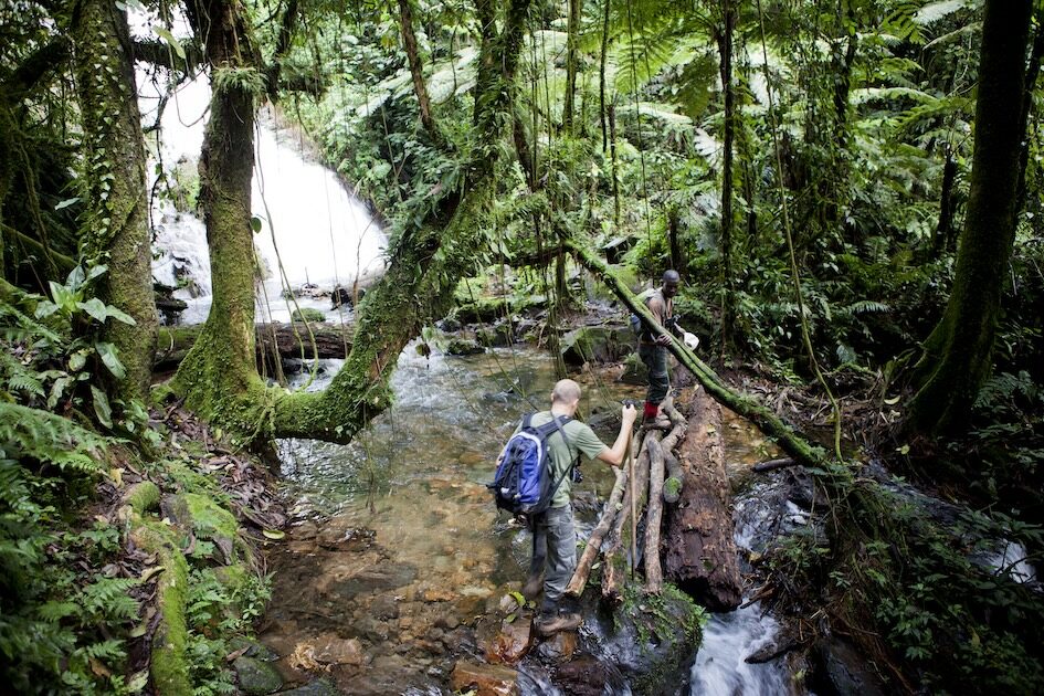 Trekking im Bwindi von Buhoma Nach Nkuringo