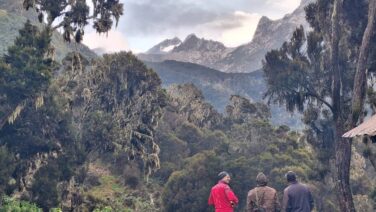 Rwenzori Trekking mit Blick auf Margherita Gipfel