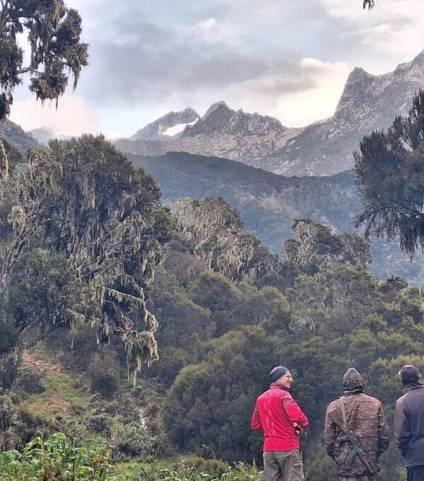 Rwenzori Trekking mit Blick auf Margherita Gipfel