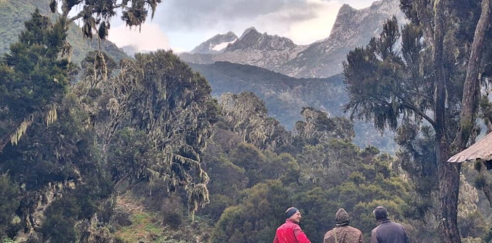 Rwenzori Trekking mit Blick auf Margherita Gipfel