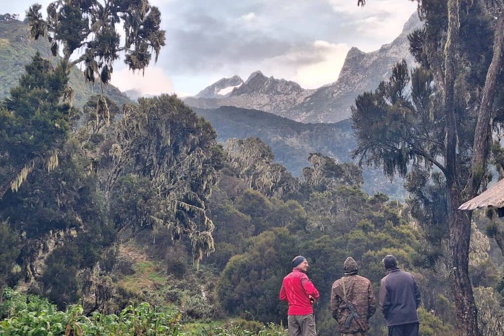 Rwenzori Trekking mit Blick auf Margherita Gipfel