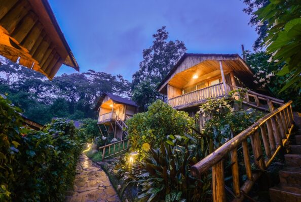 Fly-in Luxus Safari - Buhoma Lodge Anlage