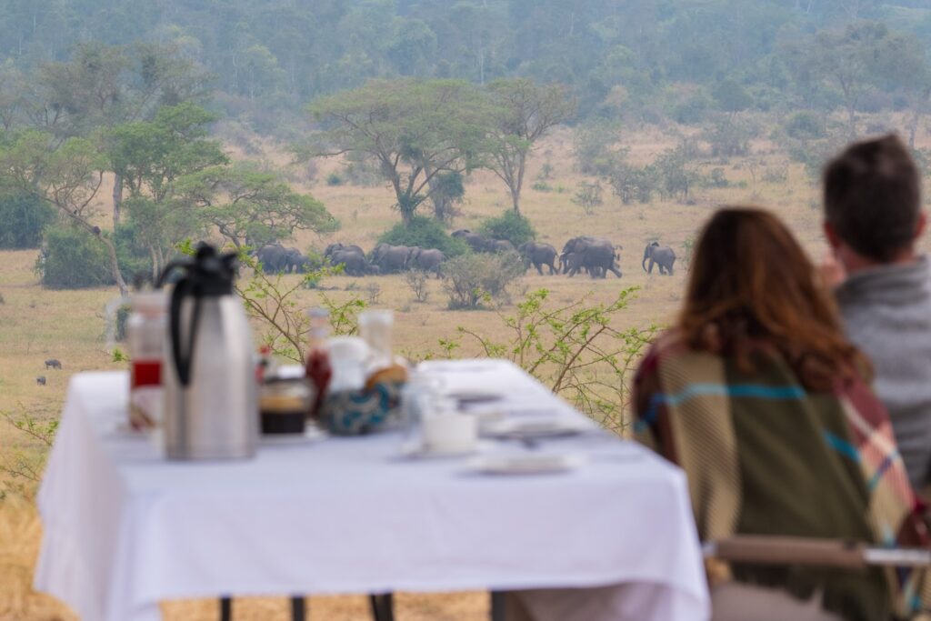 Fly-in Luxury Safari im Queen Elizabeth Ishasha Sektor