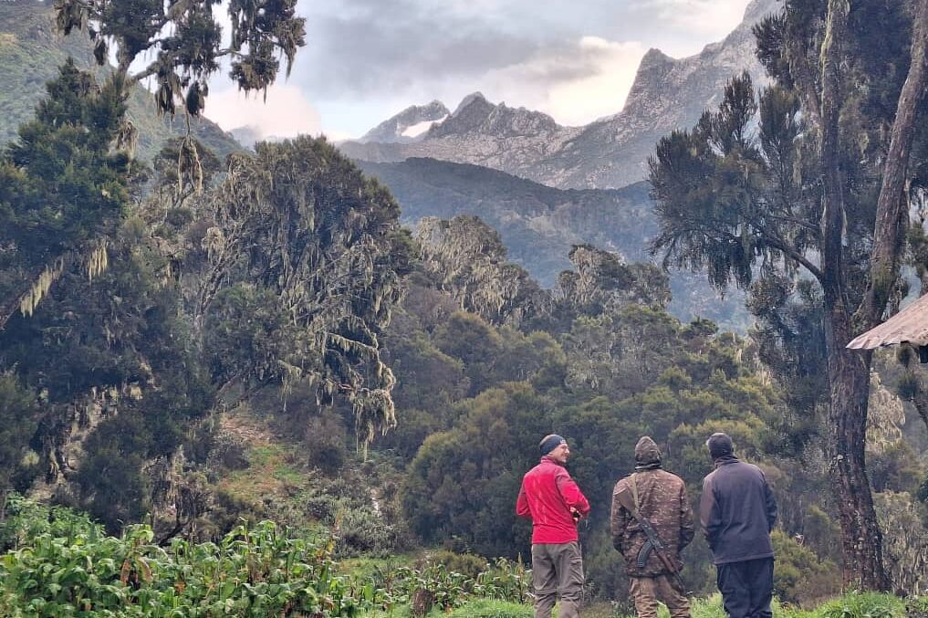 Blick auf Margherita Gipfel von der John Matte Hütte