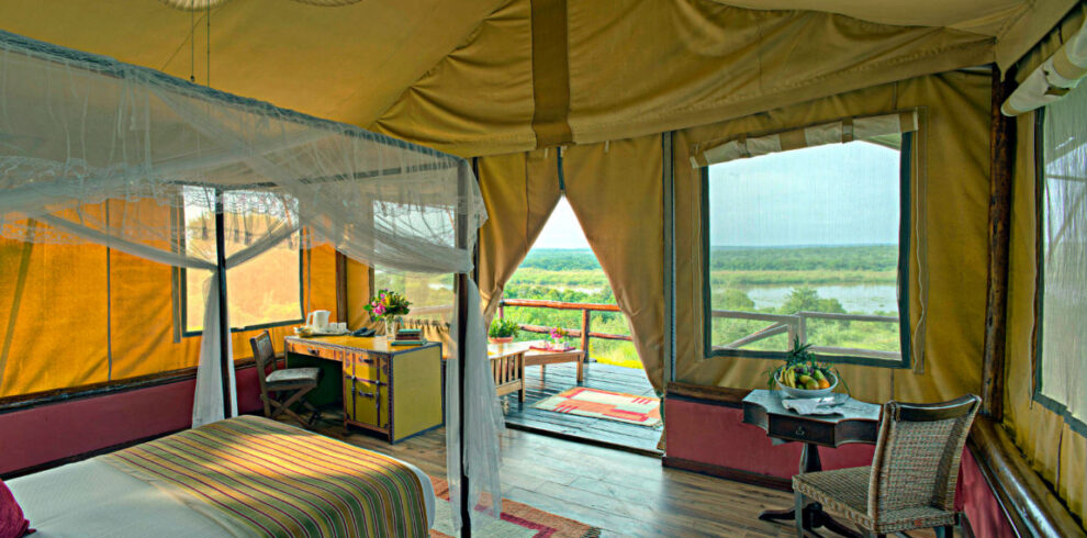 Fly-in Luxus Safari - Paara Lodge - Luxury Tent