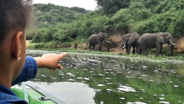 Safari Erlebnis auf dem Kazinga Kanal im Queen Elizabeth Nationalpark