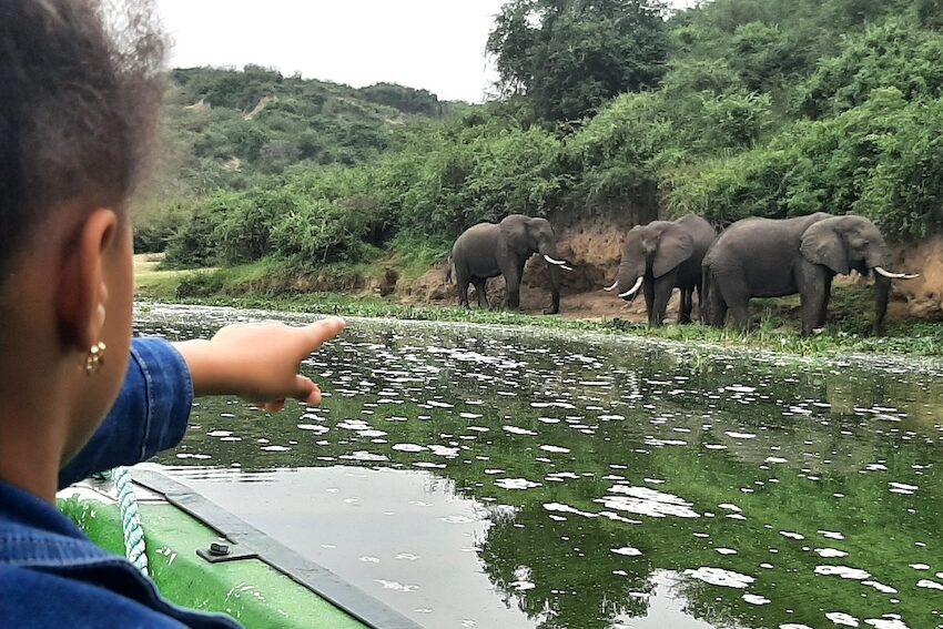 Safari Erlebnis auf dem Kazinga Kanal im Queen Elizabeth Nationalpark