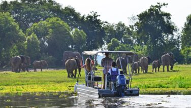Fly-in Luxus Safari Elefant Boat Pirsch