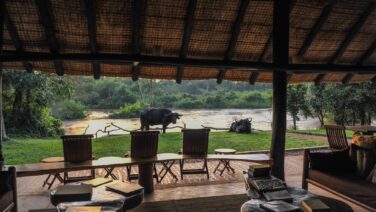 Fly-in Luxus Safari Komfort