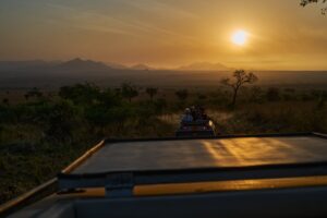 Uganda Safari & Gorilla Trekking