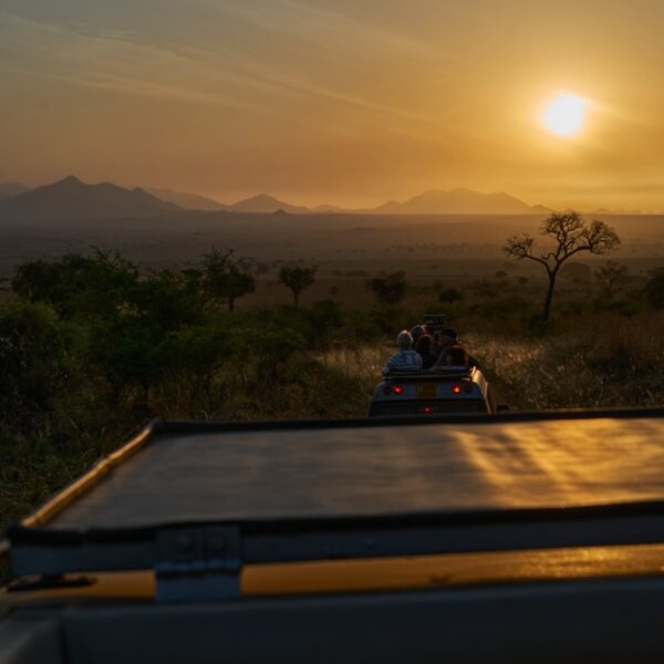 Uganda Safari & Gorilla Trekking
