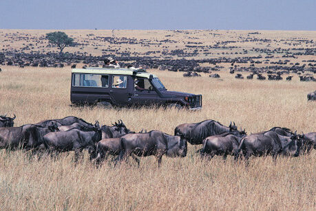 Serengeti Migration mit 4x4 Safari Fahrzeug