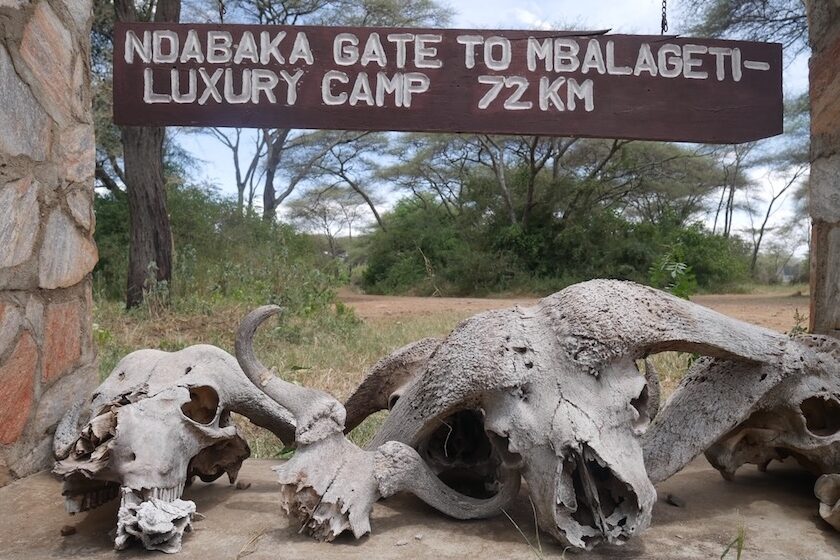 Serengeti Ndabaka Gate