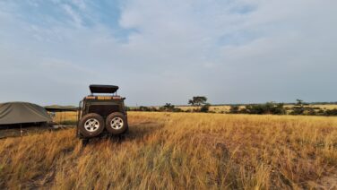 Savanna-Glamping view point