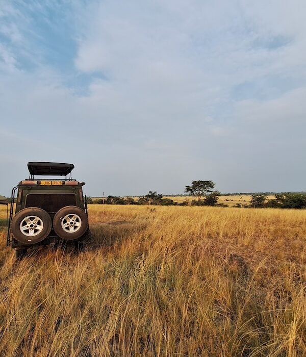 Savanna-Glamping view point