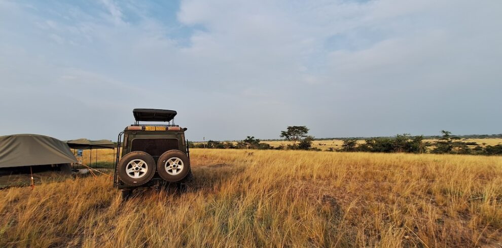 Savanna-Glamping view point
