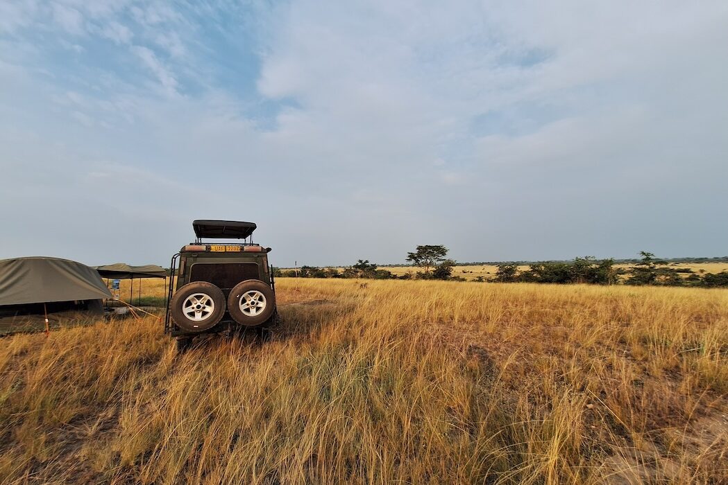 Savanna-Glamping view point